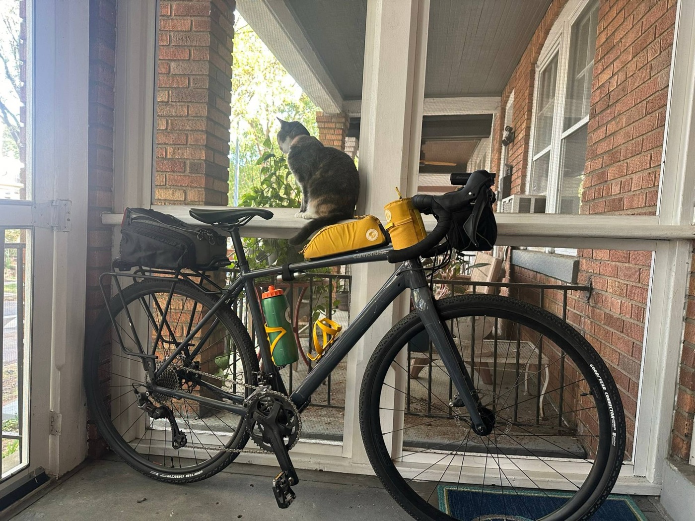 Alexander's Cannondale Topstone gravel bike on a porch, loaded with a rear rack and yellow bags, with a cat watching from the railing.